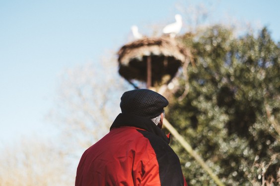Ooievaarsstation De Lokkerij in Meppel | Fotografie: Marjon Lukje