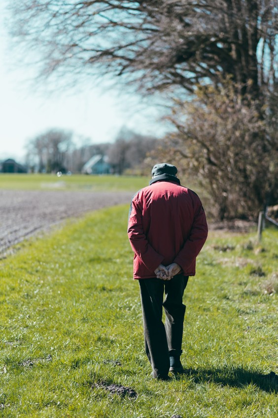 Ooievaarsstation De Lokkerij in Meppel | Fotografie: Marjon Lukje