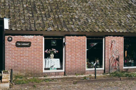Ooievaarsstation De Lokkerij in Meppel | Fotografie: Marjon Lukje