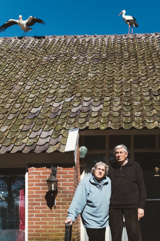 Ooievaarsstation De Lokkerij in Meppel | Fotografie: Marjon Lukje