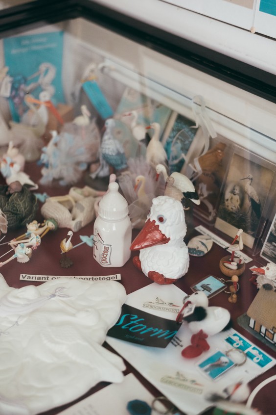 Ooievaarsstation De Lokkerij in Meppel | Fotografie: Marjon Lukje