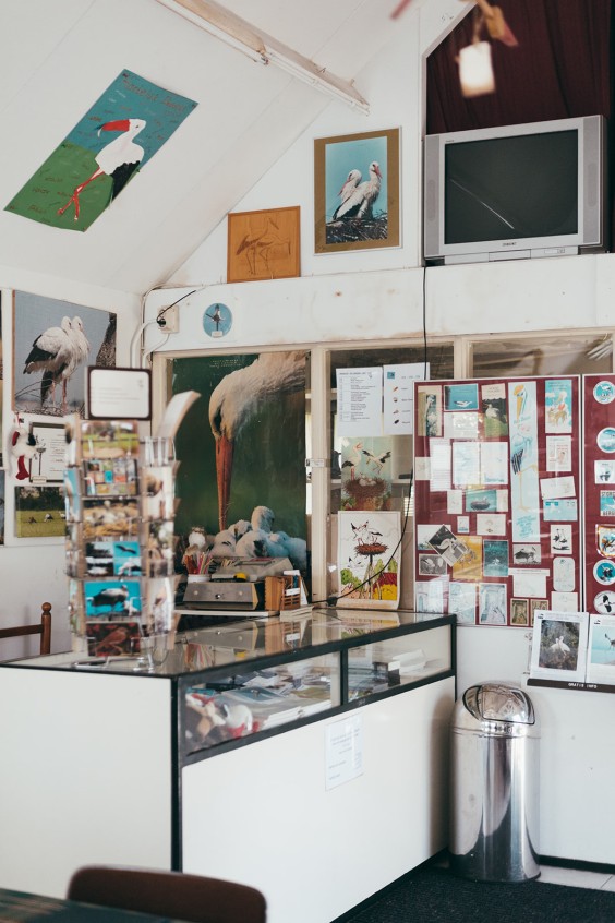 Ooievaarsstation De Lokkerij in Meppel | Fotografie: Marjon Lukje