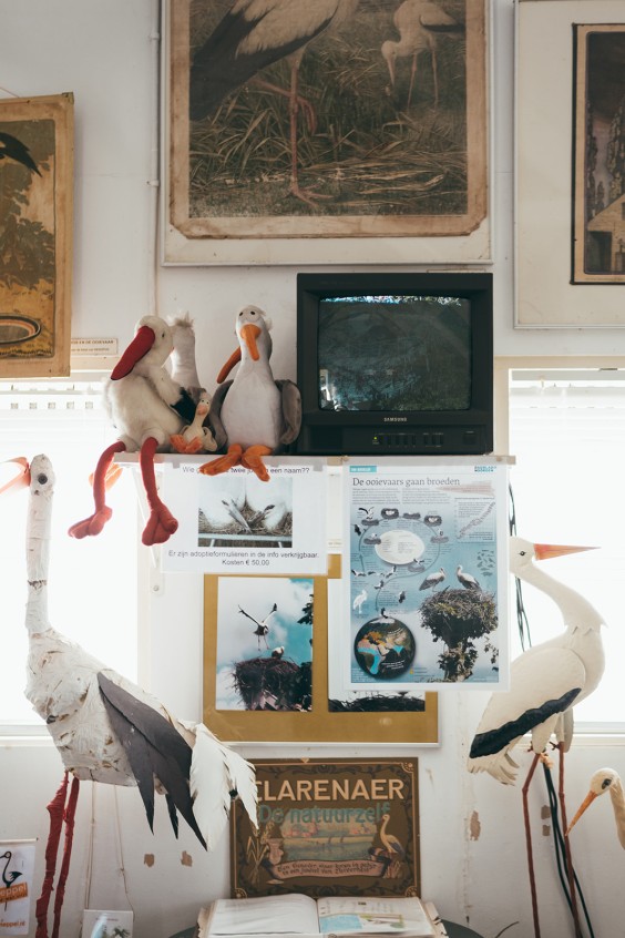 Ooievaarsstation De Lokkerij in Meppel | Fotografie: Marjon Lukje