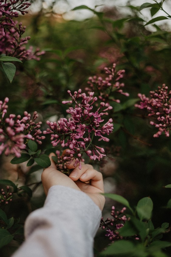 Voorjaarsschoonmaak 2