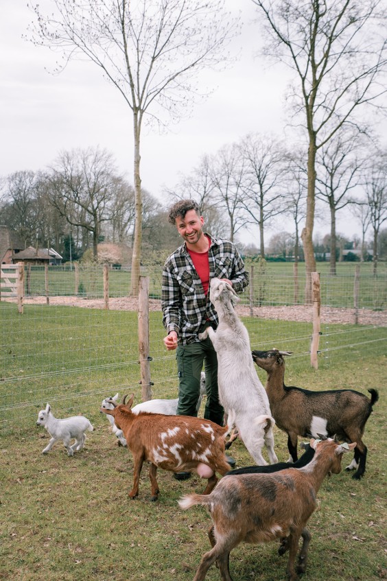 Dwerggeiten lammetjes in de lente | Fotografie: Sheena Schouwink