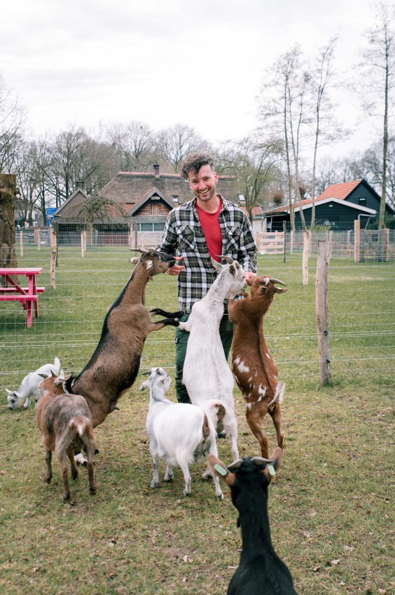 Dwerggeiten lammetjes in de lente | Fotografie: Sheena Schouwink