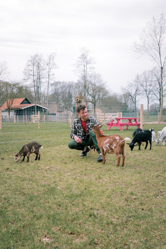 Dwerggeiten lammetjes in de lente | Fotografie: Sheena Schouwink