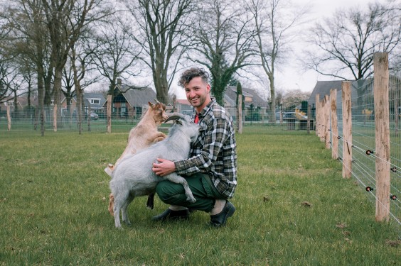 Dwerggeiten lammetjes in de lente | Fotografie: Sheena Schouwink