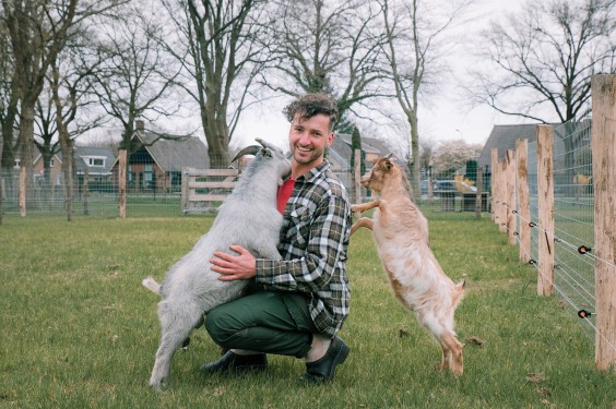 Dwerggeiten lammetjes in de lente | Fotografie: Sheena Schouwink