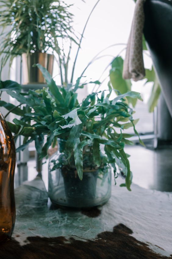 Rem Koolhaas huis - Fotografie: Sheena Schouwink