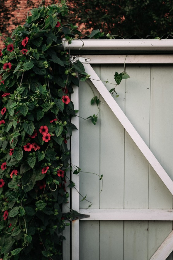 Fotografie: Angelo Dorny