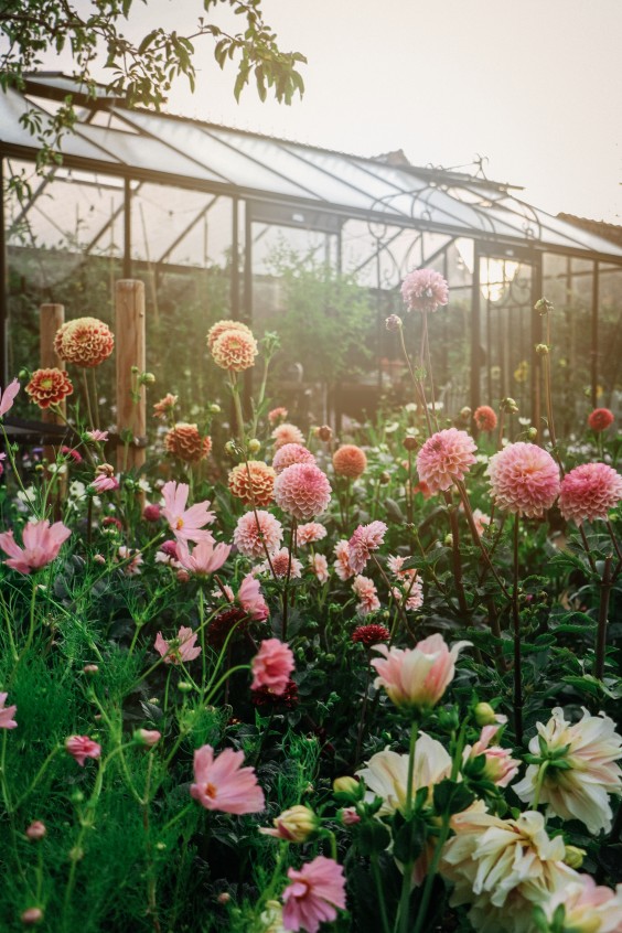 Fotografie: Angelo Dorny