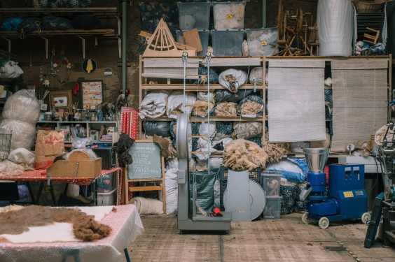 Wolkorrels - Foto: Sheena Schouwink