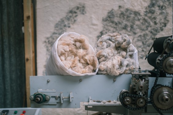 Wolkorrels - Foto: Sheena Schouwink