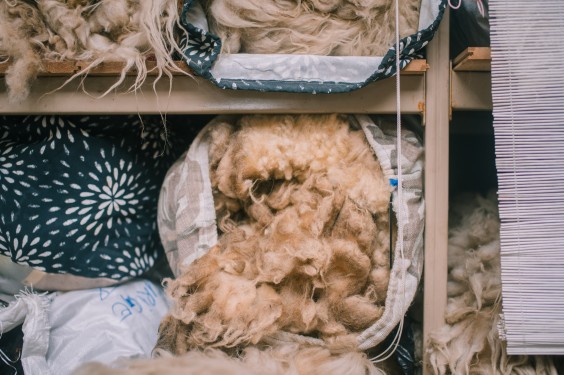 Wolkorrels - Foto: Sheena Schouwink