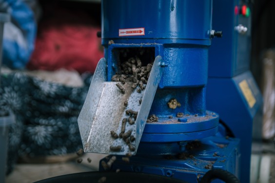 Wolkorrels - Foto: Sheena Schouwink