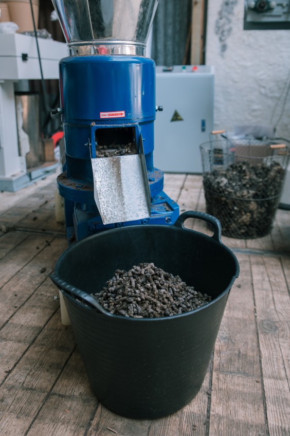 Wolkorrels - Foto: Sheena Schouwink