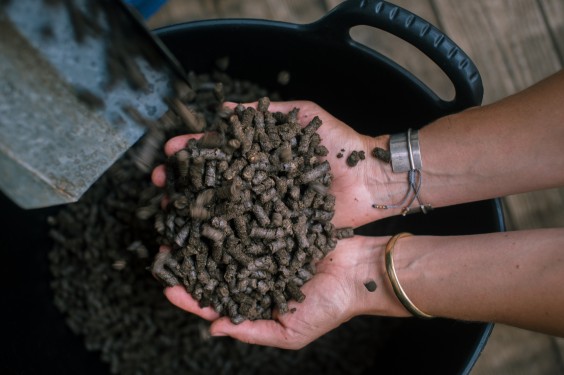 Wolkorrels - Foto: Sheena Schouwink