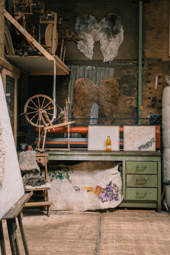 Wolkorrels - Foto: Sheena Schouwink