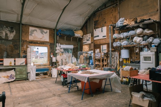 Wolkorrels - Foto: Sheena Schouwink