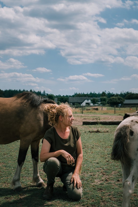 De paarden in het Paddock paradijs | Fotografie: Sheena Schouwink 