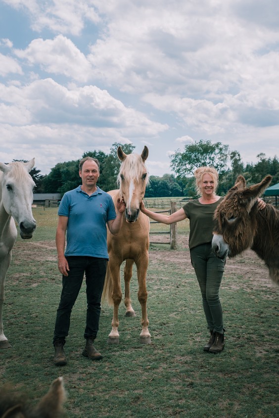 De paarden in het Paddock paradijs | Fotografie: Sheena Schouwink 