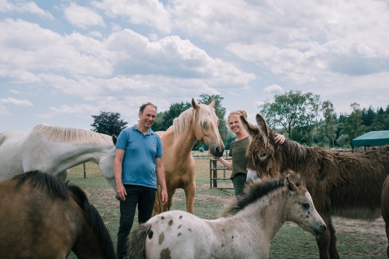 De paarden in het Paddock paradijs | Fotografie: Sheena Schouwink 