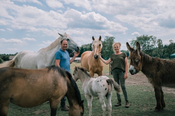 De paarden in het Paddock paradijs | Fotografie: Sheena Schouwink 