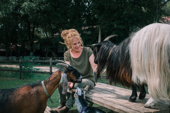 Een paddock paradijs in Putten | Fotografie: Sheena Schouwink