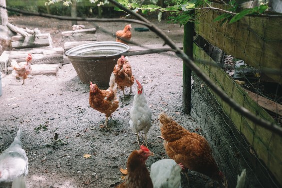 Jaren 70 interieur | Fotografie: Sheena Schouwink