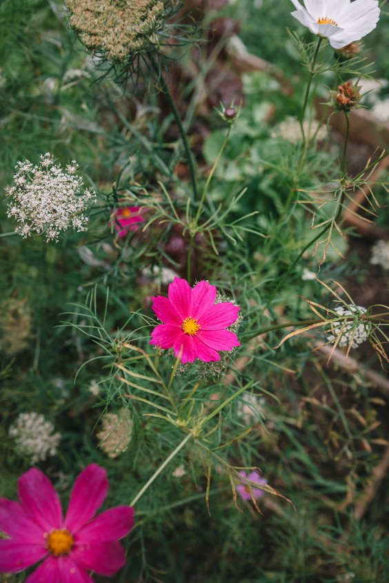 Jaren 70 interieur | Fotografie: Sheena Schouwink