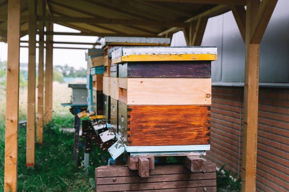 Jaren 70 interieur | Fotografie: Sheena Schouwink