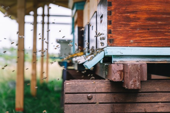 Jaren 70 interieur | Fotografie: Sheena Schouwink