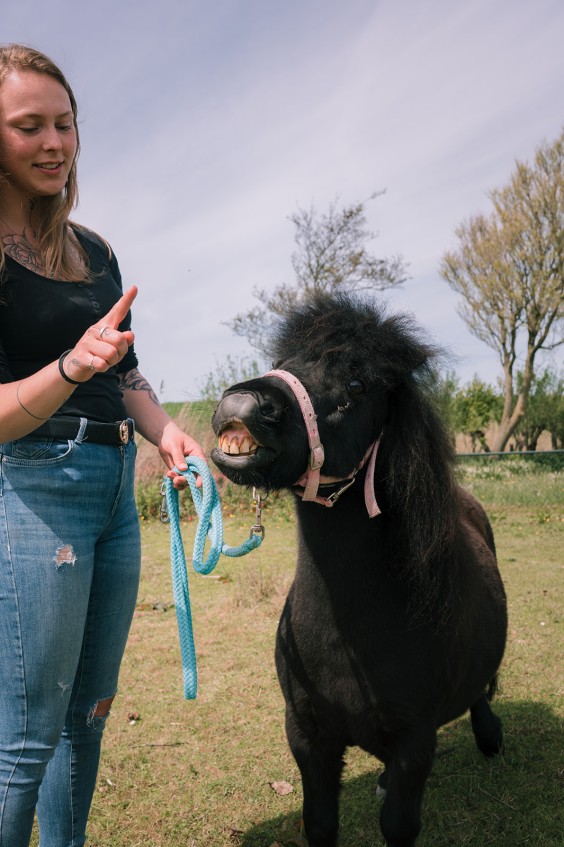 Creatief eilandhuis in Schagen | Fotografie: Sheena Schouwink