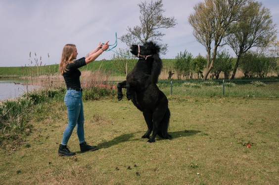 Creatief eilandhuis in Schagen | Fotografie: Sheena Schouwink