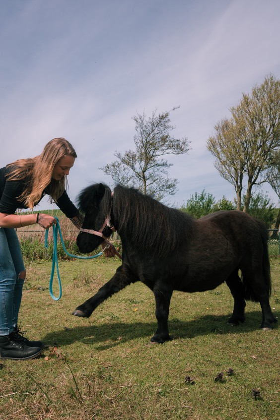 Creatief eilandhuis in Schagen | Fotografie: Sheena Schouwink