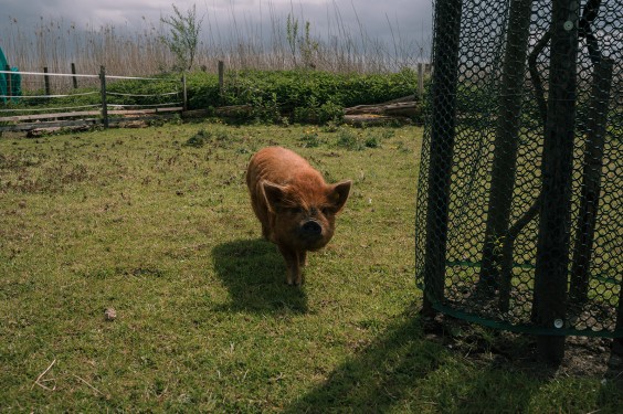 Creatief eilandhuis in Schagen | Fotografie: Sheena Schouwink