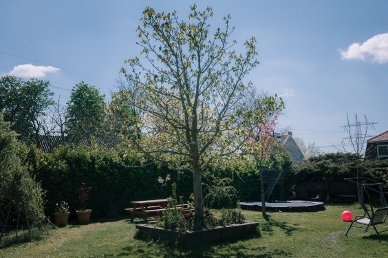 Samenwonen in West-Zaan | Fotografie: Sheena Schouwink