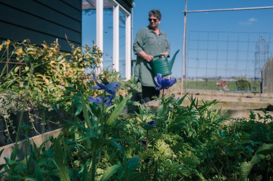 Samenwonen in West-Zaan | Fotografie: Sheena Schouwink