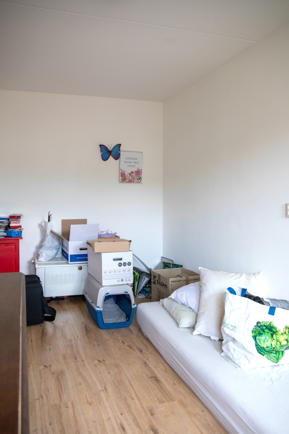 Metamorfose werkkamer - Theo-Bert Pot