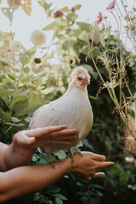 Fotografie: Tumbleweed & Fireflies Photography