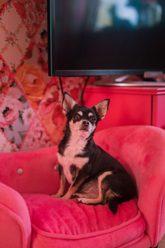 Roze huis Breda | Fotografie: Sheena Schouwink