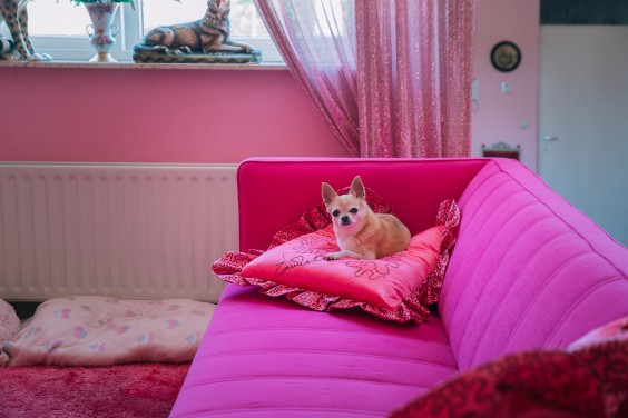 Roze huis Breda | Fotografie: Sheena Schouwink