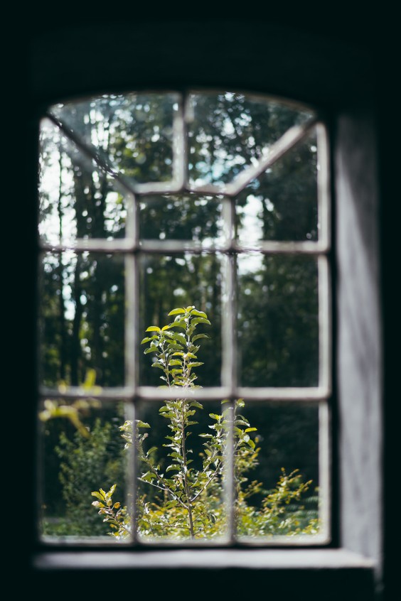 Kleurrijke boerderij Siddeburen | Fotografie: Marjon Lukje