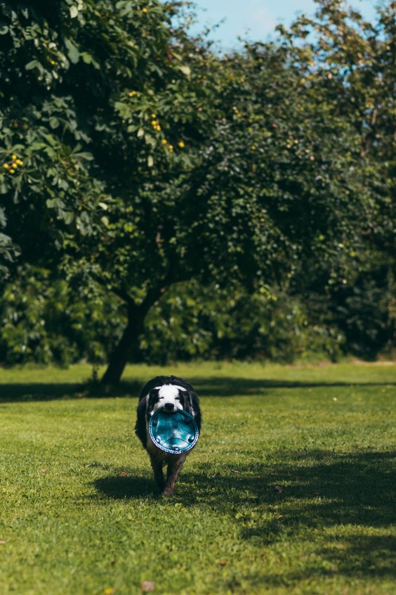 Kleurrijke boerderij Siddeburen | Fotografie: Marjon Lukje