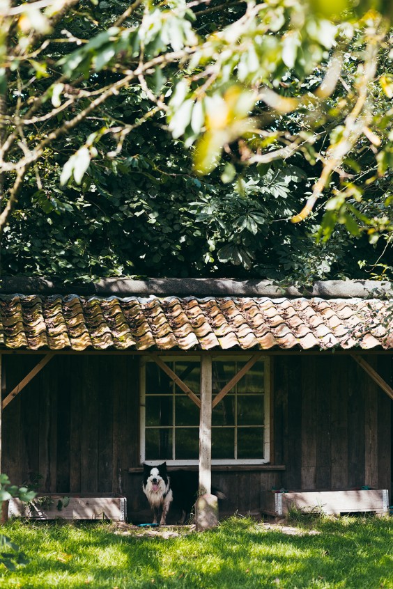 Kleurrijke boerderij Siddeburen | Fotografie: Marjon Lukje