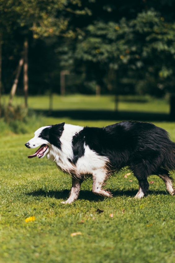 Kleurrijke boerderij Siddeburen | Fotografie: Marjon Lukje