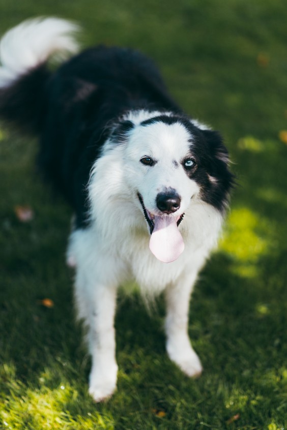 Kleurrijke boerderij Siddeburen | Fotografie: Marjon Lukje