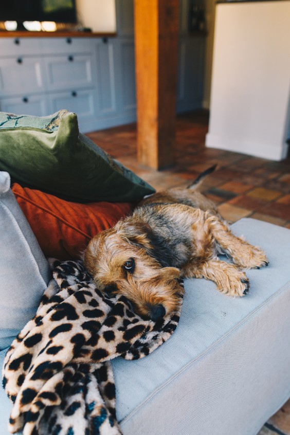 Beestenboel - Foto: Marjon Lukje