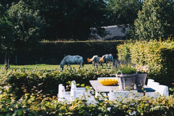 Beestenboel - Foto: Marjon Lukje